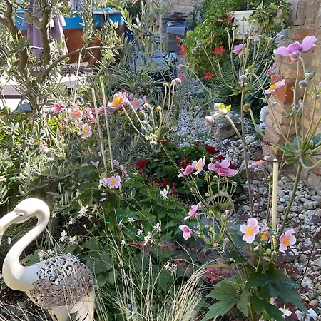 Jarmila Vendeghaz 4*