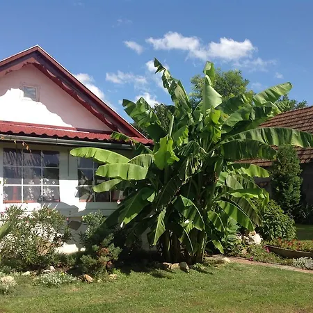 Jarmila Vendeghaz Guest house