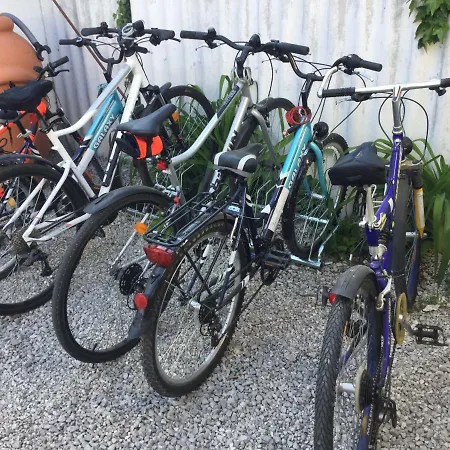 Jarmila Vendeghaz 4*