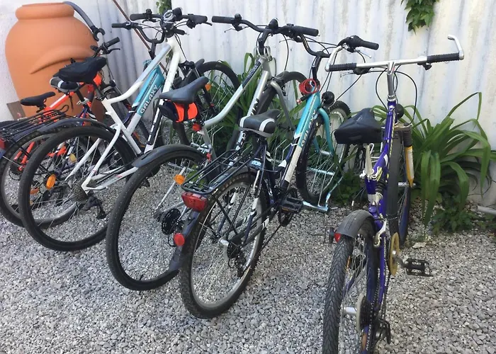 Jarmila Vendeghaz 4*